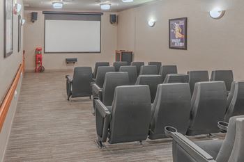 Movie theatre & billiards room